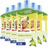 Mr. Propre 6x Allesreiniger Bergamot 1 liter