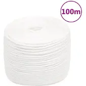 vidaXL Boottouw 8 mm 100 m polypropyleen volwit