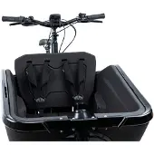 Cube Cargo Safety Riem