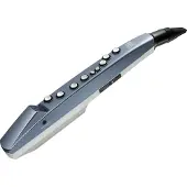 Roland AE-01 Aerophone Mini Digitaal Blaasinstrument
