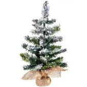 Cstore Bloeiende tafelboom - 50 cm - Groen gevlokt wit