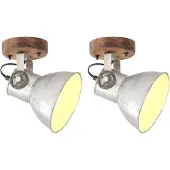 vidaXL Wand- en plafondlamp, industriële stijl, 2 stuks, zilverkleurig, 20x25 cm, E27