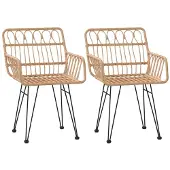 vidaXL Tuinstoelen 2 st met armleuning 56x64x80 cm PE-rattan