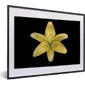 PosterMonkey Fotolijst incl. Poster - Een gele leliebloem over zwarte achtergrond - 40x30 cm - Posterlijst