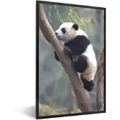 PosterMonkey Fotolijst incl. Poster - Panda - Dier - Boom - 60x90 cm - Posterlijst