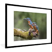 PosterMonkey Fotolijst incl. Poster - IJsvogels - Vis - Tak - 80x60 cm - Posterlijst