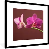 PosterMonkey Fotolijst incl. Poster - Bloemen - Orchideeën - Roze - 40x40 cm - Posterlijst