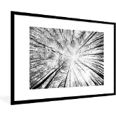 PosterMonkey Fotolijst incl. Poster - Beukenfoto vanaf de grond gemaakt - 120x80 cm - Posterlijst