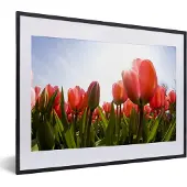 PosterMonkey Fotolijst incl. Poster - Een veld vol met rode tulpen - 40x30 cm - Posterlijst