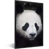 PosterMonkey Fotolijst incl. Poster - Panda - Portret - Zwart - Wit - 80x120 cm - Posterlijst