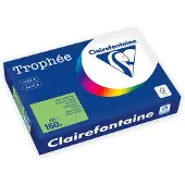 Clairefontaine Gekleurd papier Grasgroen A4 160 grams (250 vel)