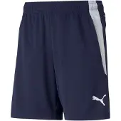 Puma Sportbroek 'Team Liga' navy / wit