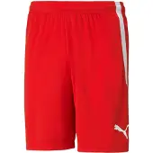 Puma Teamliga heren shorts rood maat XXL