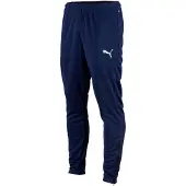 Puma Sportbroek 'Team Rise' navy / wit