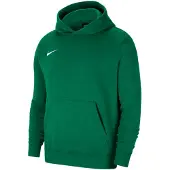Nike Park 20 Fleece Hoodie Kids Groen