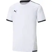 Puma Functioneel shirt 'TeamLiga' grijs / zwart / wit