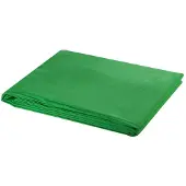 vidaXL Achtergrond zonder standaard chromakey 300x300 cm katoen groen