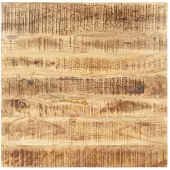 vidaXL Tafelblad 15-16 mm 70x70 cm massief mangohout