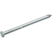 Intergard Draadnagel spijkers 1.2x20mm verzinkt platkop per kg