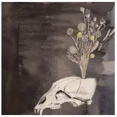 Konkurrent Steve Gunn & Black Twig Pickers - Seasonal Hire (CD)