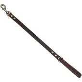 Animal Boulevard Ab30124 - Hals- En Leibanden - Hond - Ab Country Leather Hd Lange Lijn Bruin-20mmx180cm - Maat: 20mmx180cm