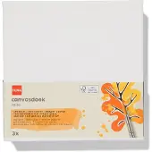 HEMA Canvasdoeken 280gsm 20x20 - 3 stuks