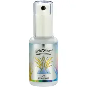 Lichtwesen Chamuel tinctuur 24 30 ml