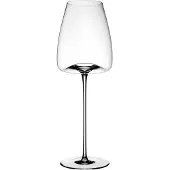 Zieher Wijnglas Vision Straight 540 ml (2-Delig)