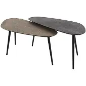 Hoyz Collection salontafel metallic niervormig - set van 2