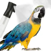 Back Zoo Nature Extreme Mistmaker