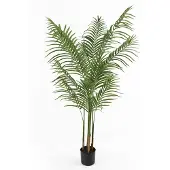 PT Living Kunstplant Kwai Tree