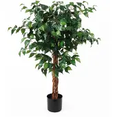 PT Living Kunstplant Fig Ficus