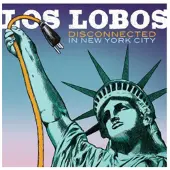 Import Disconnected in New York City