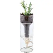 Esschert Design Fles bloempot met water reservoir Ø7,5x21cm (exclusief plant)