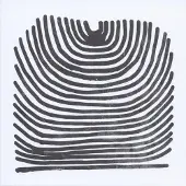 Konkurrent Rival Consoles - Howl (LP)