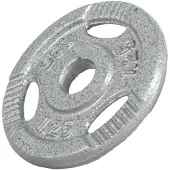 Gorilla Sports Halterschijf 1,25 kg Gripper Gietijzer Zilver - 30/31 mm