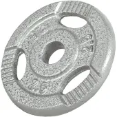 Gorilla Sports Halterschijf 2,5 kg gripper gietijzer zilver 30 mm