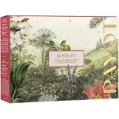 Payot Huidverzorging Roselift Cadeauset Crème Liftante 50 ml + Crème Liftante Regard 15 ml + Mini Gua-Sha
