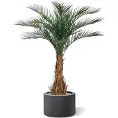Maxifleur Kunstplanten Phoenix kunstpalm deluxe 180cm