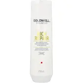 Goldwell Dualsenses Rich Repair Restoring Shampoo 250 ml