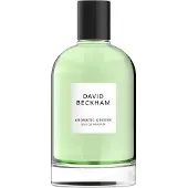 David Beckham Aromatic Greens Eau de Parfum voor heren - Houtachtig - 100 ML