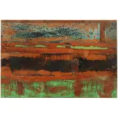 vidaXL Tafelblad rechthoekig 15-16 mm 60x90 cm massief gerecycled hout