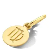 The Jewelry Collection Geelgouden Hanger sterrenbeeld maagd 4024376