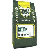 Yourdog Australische kelpie volwassen