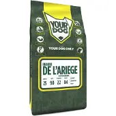 Yourdog Braque de l'ariege volwassen