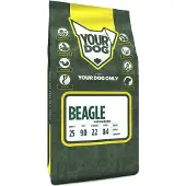 Yourdog Beagle volwassen