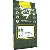 Yourdog Kai volwassen