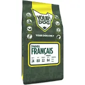 Yourdog Epagneul franais senior
