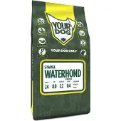 Yourdog Spaanse waterhond senior