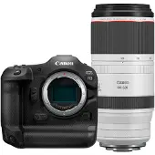 Canon EOS R3 + RF 100-500mm F/4.5-7.1L IS USM